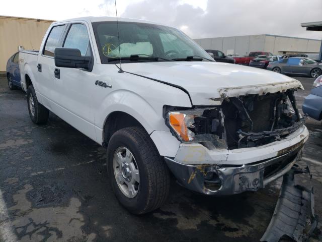 FORD F-150 2013 1ftfw1ef6dfb68370