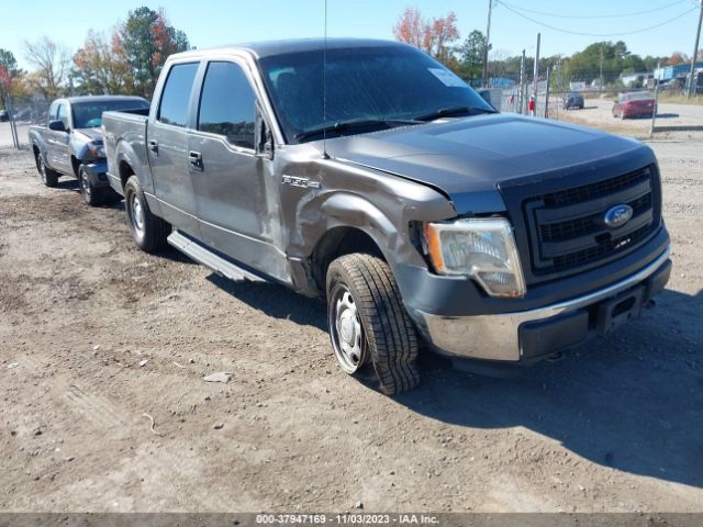 FORD F-150 2013 1ftfw1ef6dfc14182