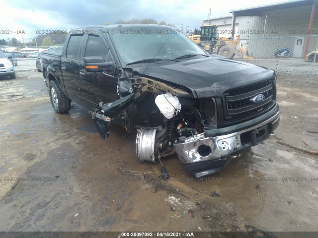 FORD F-150 2013 1ftfw1ef6dfc60109