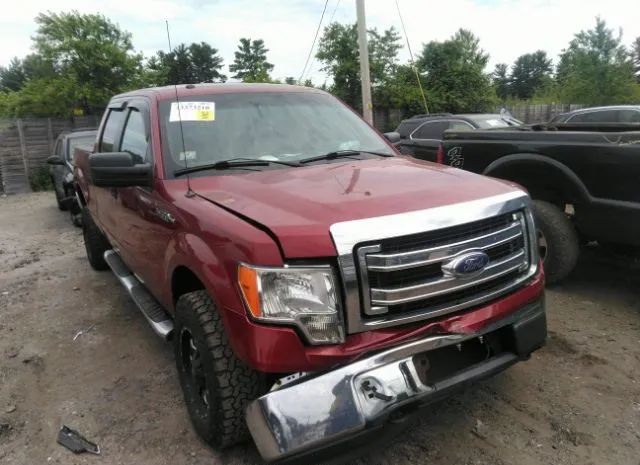 FORD F-150 2013 1ftfw1ef6dfd13052