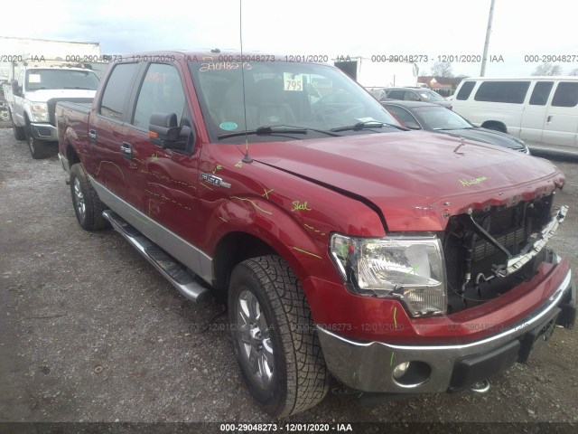 FORD F-150 2013 1ftfw1ef6dfd36458