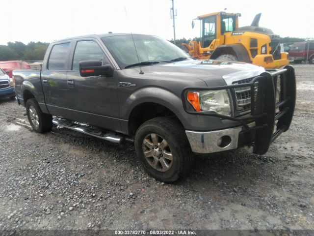 FORD F-150 2013 1ftfw1ef6dfd62509