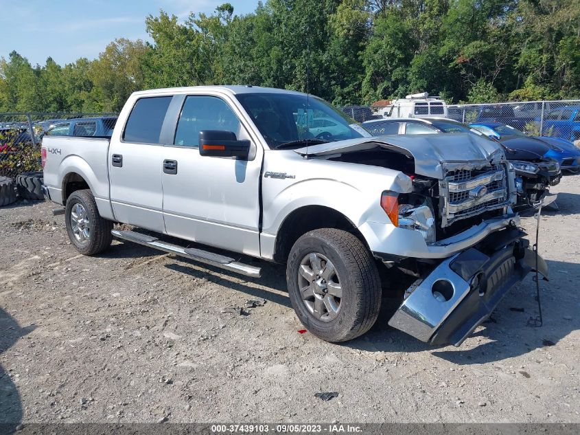 FORD F-150 2013 1ftfw1ef6dkd02804