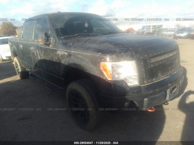 FORD F-150 2013 1ftfw1ef6dkd03127