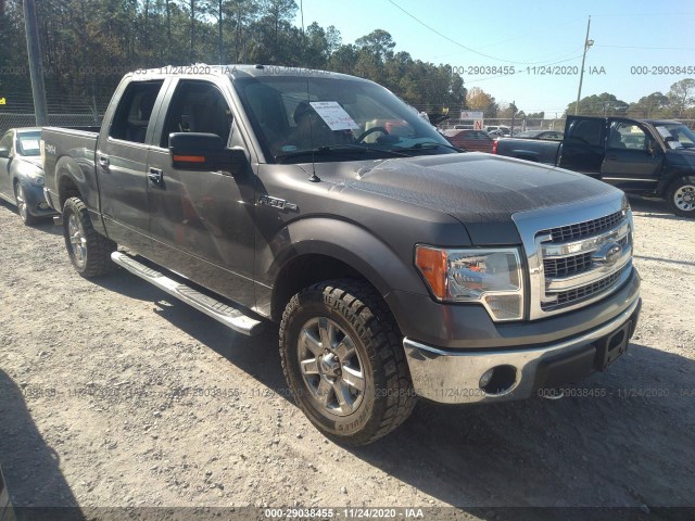 FORD F-150 2013 1ftfw1ef6dkd86610