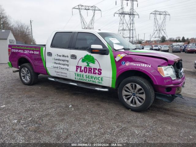 FORD F-150 2013 1ftfw1ef6dkd99471