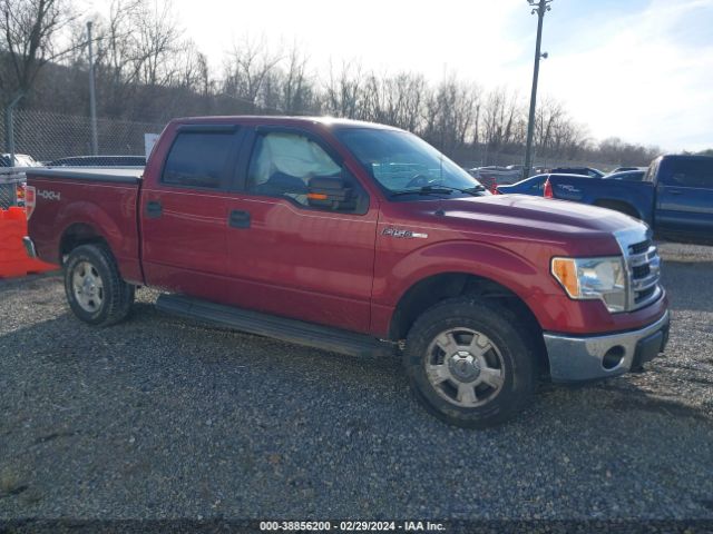 FORD F-150 2013 1ftfw1ef6dke06497