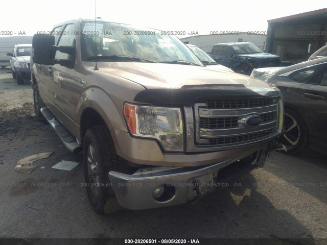 FORD F-150 2013 1ftfw1ef6dke08668