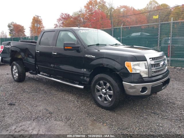 FORD F-150 2013 1ftfw1ef6dke43601