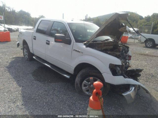 FORD F-150 2013 1ftfw1ef6dkf24775