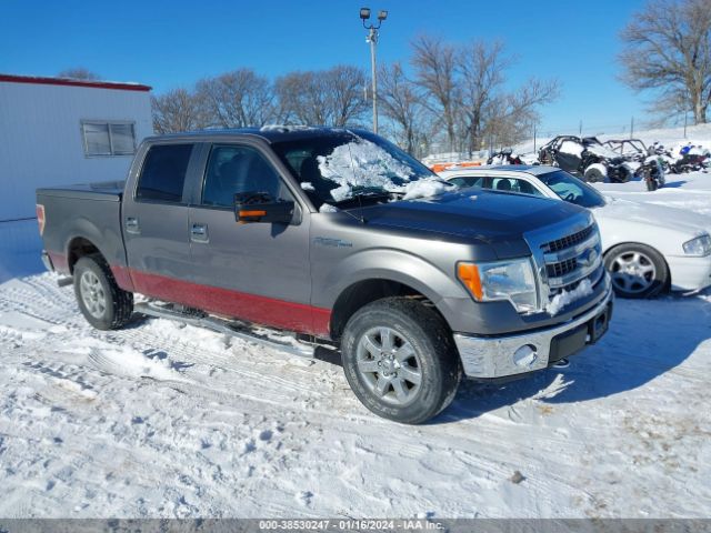 FORD F-150 2013 1ftfw1ef6dkf25957