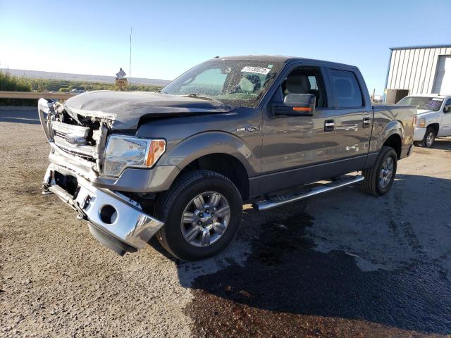 FORD F-150 2013 1ftfw1ef6dkg29154