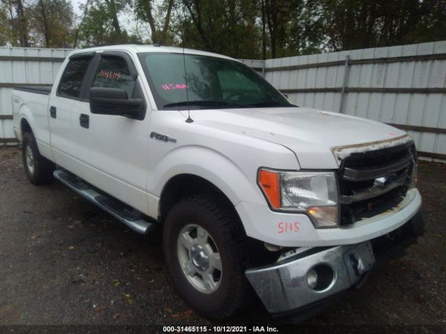 FORD F-150 2014 1ftfw1ef6efa79075