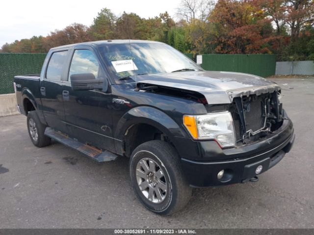 FORD F-150 2014 1ftfw1ef6efb11331