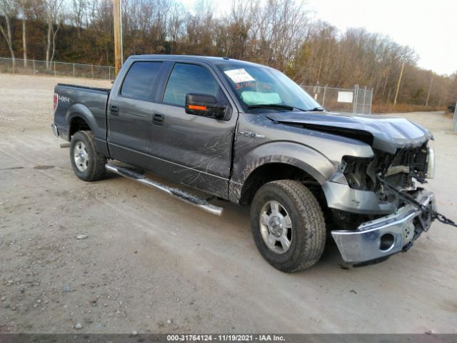 FORD F-150 2014 1ftfw1ef6ekd54189