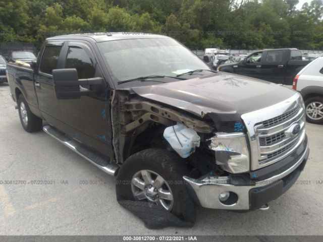 FORD F-150 2013 1ftfw1ef7dfa45158