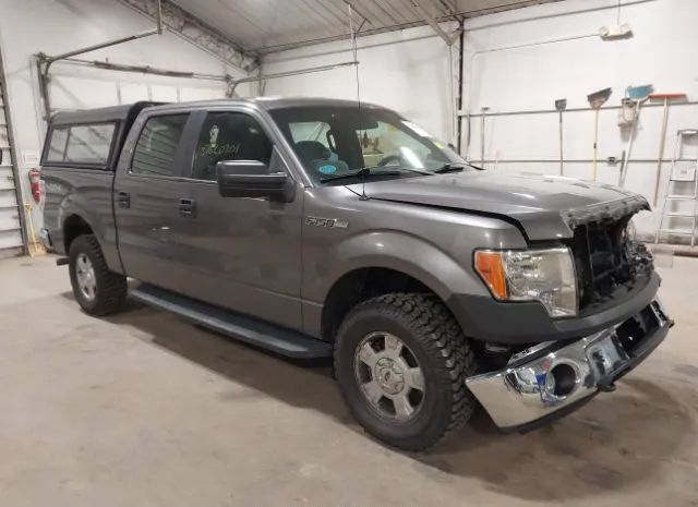 FORD F-150 2013 1ftfw1ef7dfa66141