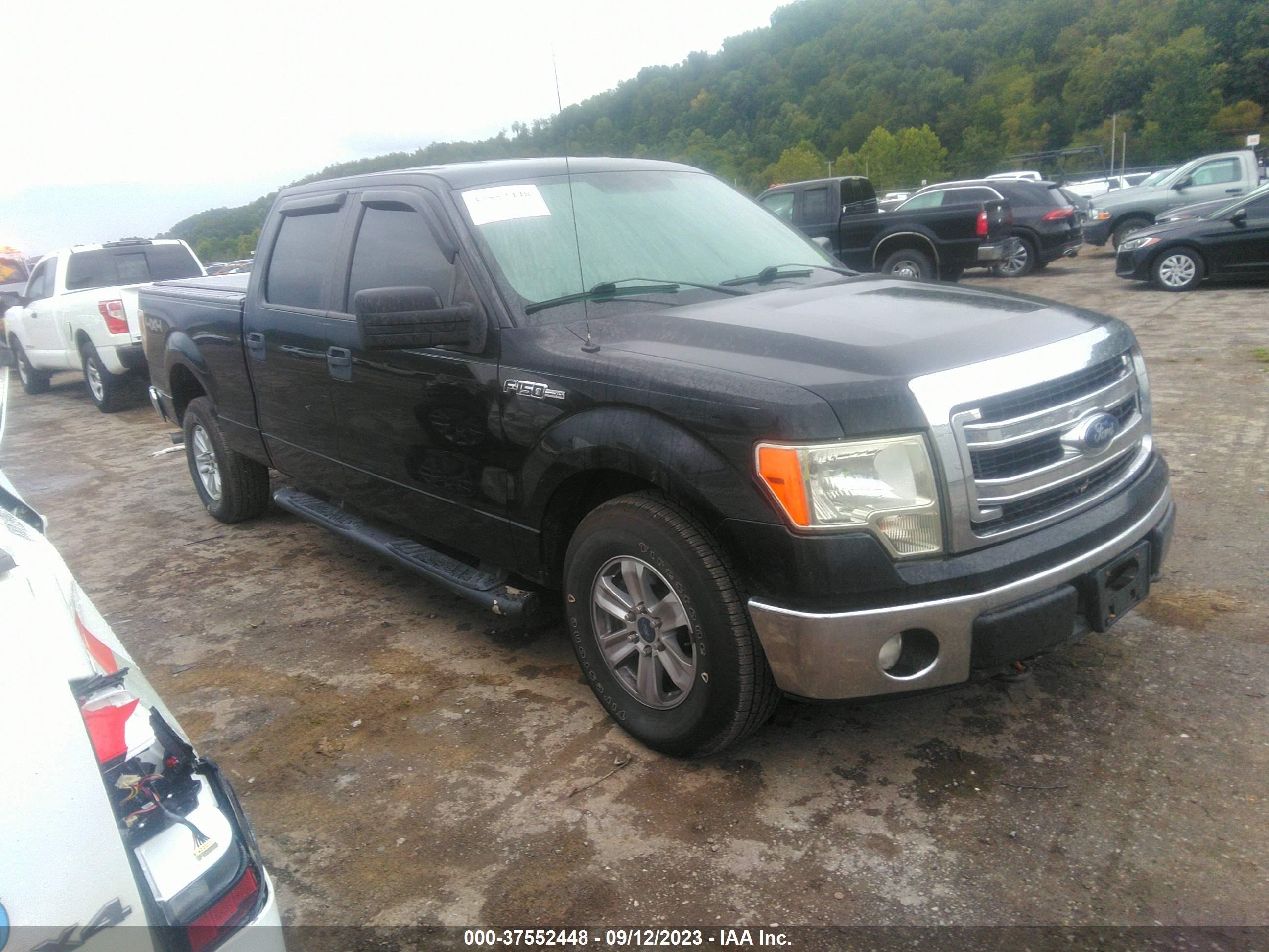 FORD F-150 2013 1ftfw1ef7dfb00613