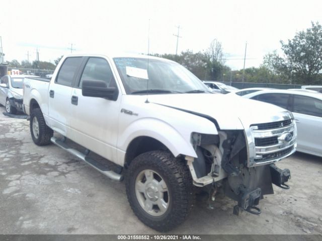 FORD F-150 2013 1ftfw1ef7dfb69205