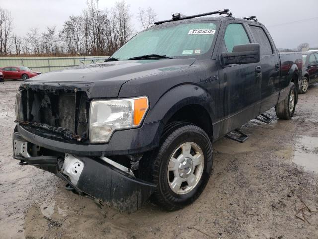 FORD F-150 2013 1ftfw1ef7dfc36952