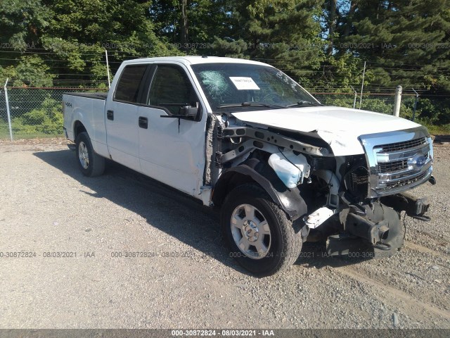 FORD F-150 2013 1ftfw1ef7dfc59194