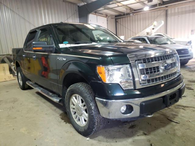 FORD F150 2013 1ftfw1ef7dfd01623