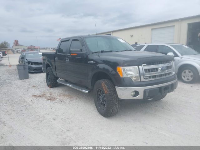 FORD F-150 2013 1ftfw1ef7dfd89525