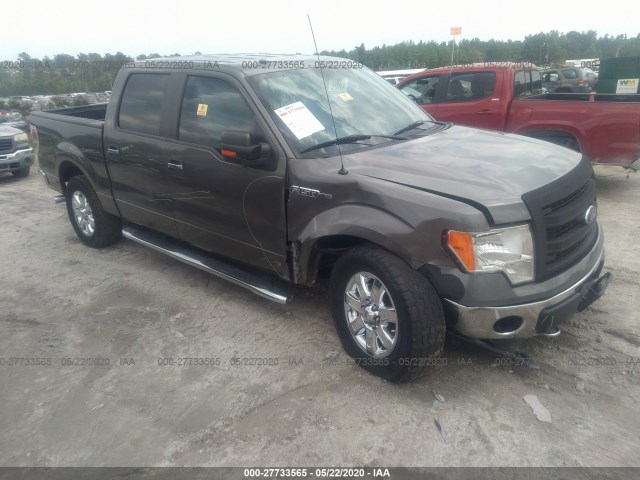 FORD F-150 2013 1ftfw1ef7dfd89816