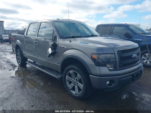 FORD F-150 2013 1ftfw1ef7dfe07604