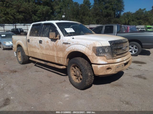 FORD F-150 2013 1ftfw1ef7dke02720