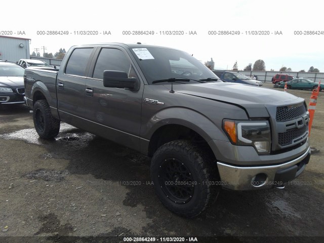 FORD F-150 2013 1ftfw1ef7dke10011