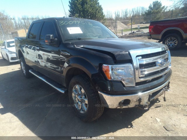 FORD F-150 2014 1ftfw1ef7efa08919