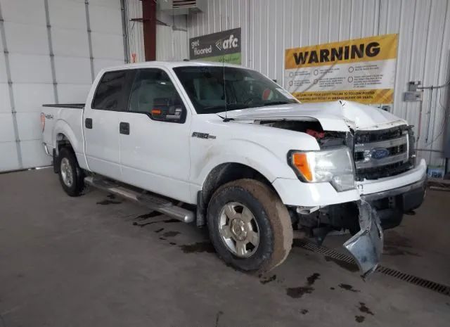 FORD F-150 2014 1ftfw1ef7efa38020