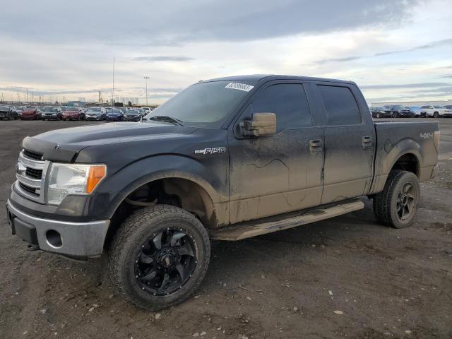 FORD F-150 2014 1ftfw1ef7efb22497