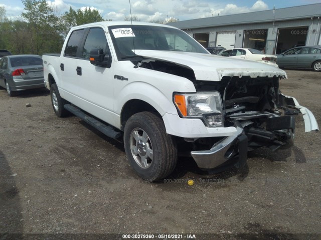 FORD F-150 2014 1ftfw1ef7efc13155