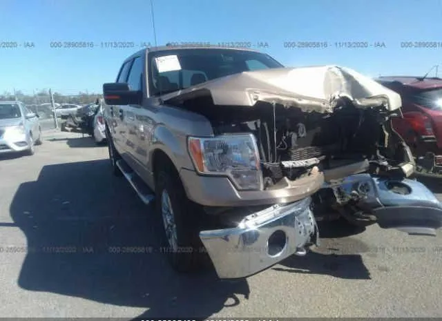 FORD F-150 2014 1ftfw1ef7eke94557