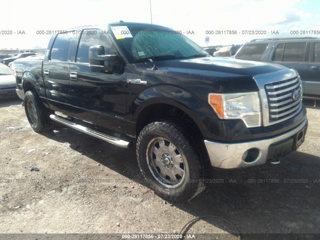 FORD F-150 2011 1ftfw1ef8bfa71975