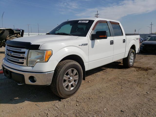 FORD F-150 2011 1ftfw1ef8bfb52717