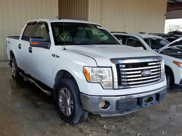 FORD F150 SUPER 2011 1ftfw1ef8bfc08283