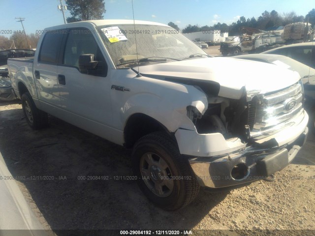 FORD F-150 2012 1ftfw1ef8cfa21210