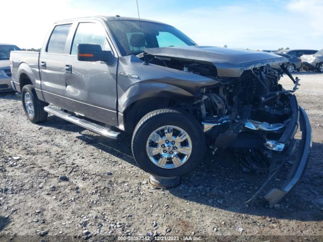 FORD F-150 2012 1ftfw1ef8cfb79949