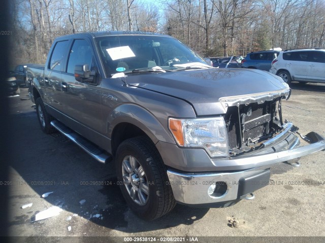 FORD F-150 2012 1ftfw1ef8cfb81376