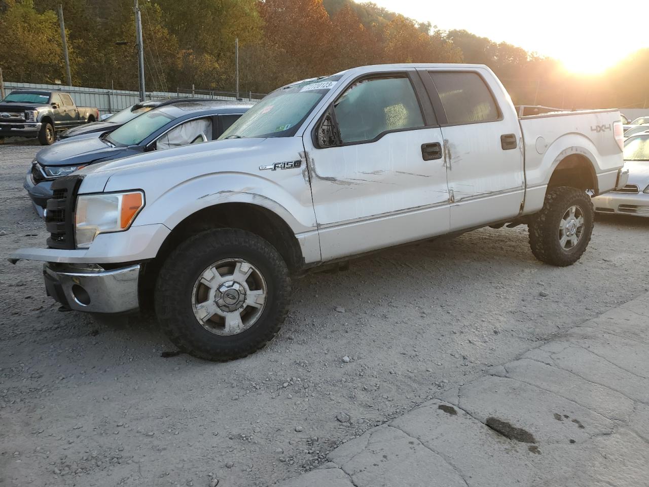 FORD F-150 2013 1ftfw1ef8dfa59036