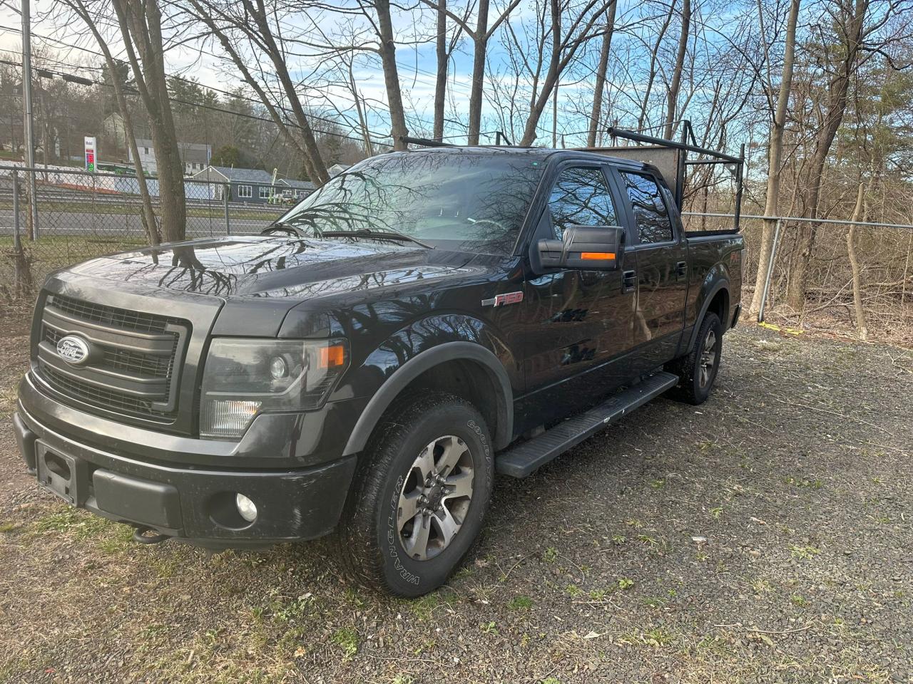 FORD F-150 2013 1ftfw1ef8dfa64303