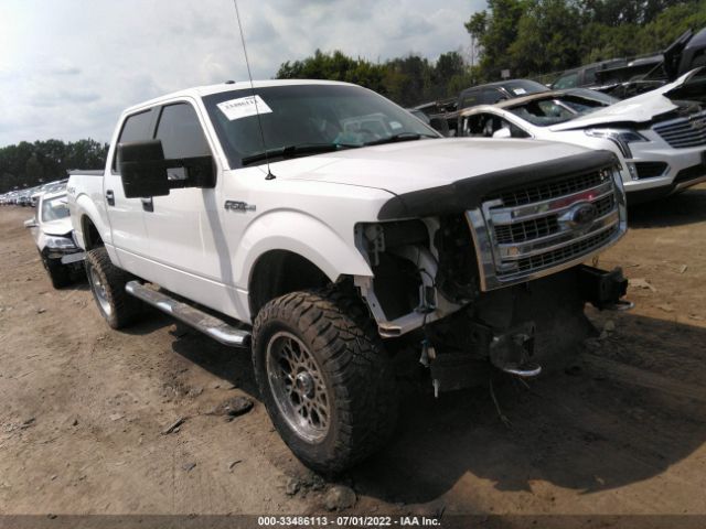 FORD F-150 2013 1ftfw1ef8dfa71865