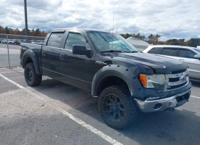 FORD F-150 2013 1ftfw1ef8dfa93610