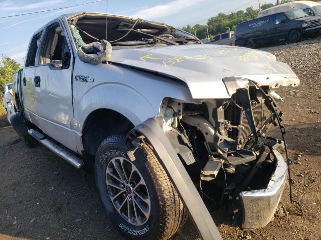 FORD F150 SUPER 2013 1ftfw1ef8dfb14360