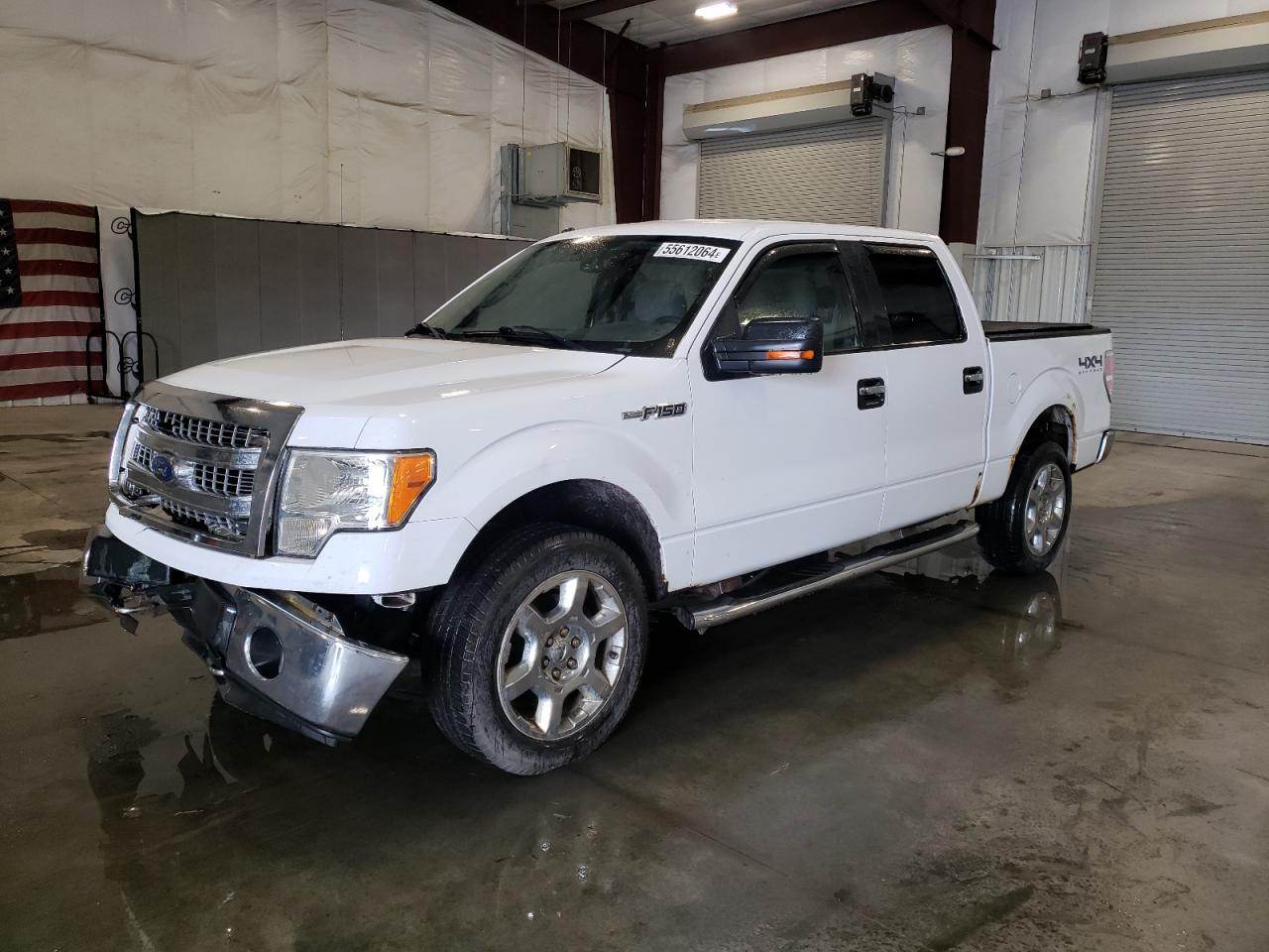 FORD F-150 2013 1ftfw1ef8dfb30722