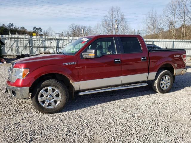 FORD F-150 2013 1ftfw1ef8dfb43244