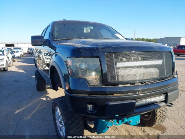 FORD F-150 2013 1ftfw1ef8dfb52042